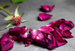 natalie-breeze-1329542-unsplash
