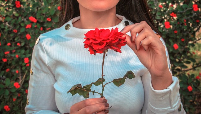 alessio-sciarrone-1392954-unsplash (1)